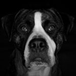 Patrick Kerley - @mr_dw - Instagram