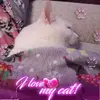 Kerry Patrick - @kerrypatrick1 - TikTok
