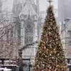 Patrick Kerry - @patrick.kerry - TikTok