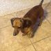 Pat Kersey - Facebook
