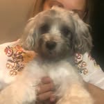 Patrick - @patrick_key_top - Instagram