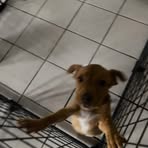 Patrick Keys - Facebook