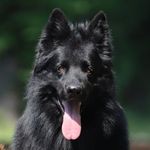 Patrick Khanzadian - @patrickkhanzadian - Instagram