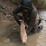 Patrick Kidd - @patrick_m._cripes - Instagram
