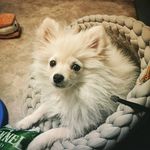 Patrick Kidd - @shiiuga - Instagram
