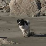 Patrick Killen - @patrick_killen - Instagram
