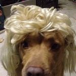 Patrick Killen - @pkillenlove4life - Instagram