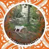 Patrick Kilmartin - @patrick.kilmartin - TikTok