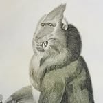 Patrick Kilpatrick - @kilpatrick.cincinnati - Instagram