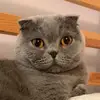 Patrick Kim - @patrickkimstudio - TikTok
