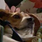 Patrick J. Kimber - @patrickj.7377 - Instagram