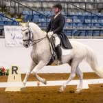 Patrick King - @patrickkinghorsemanship - Instagram