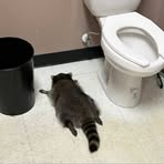 Patrick Kingston - Facebook