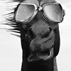 patkinslow - @patkinslow - TikTok