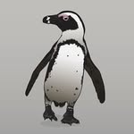 Patrick Skipper - @patrick_skipper - Instagram
