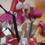 Kipsang Patrick - Facebook