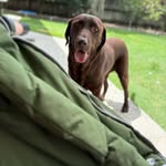 Patrick Kipping - @paddy_kipping - Instagram