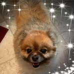 Patrick Kipping - Facebook