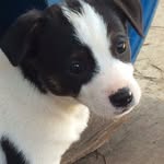 Patrick Kirkland - @kellc5036 - Instagram