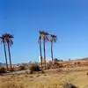 Patrick Kirrane - @patrick.kirrane - TikTok