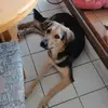patrickkirsch949 - @patrickkirsch949 - TikTok