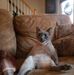 Patrick Kiser - Facebook