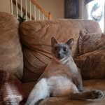 Patrick Kiser - @patrick.kiser.5245 - Instagram