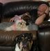 Patrick Kissane - Facebook