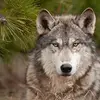 Patrick Kissel - @patrickkissel2 - TikTok