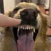 patrickkisthebest - @patrickkisthebest - TikTok