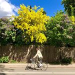 Patrick Kitchen - @patrickitchen - Instagram