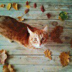 My name is Patrick - @patrick_kitty - Instagram