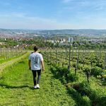 Patrick Kluge - @mr.cello91 - Instagram