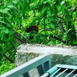 Patrick kluge - @kluge231 - Instagram