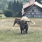 Patrick Kluge - @patkluge - Instagram