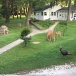 Patrick Knapp - @patrick.knapp.52056 - Instagram
