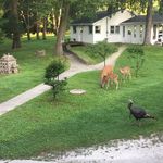 Patrick Knapp - @patrick.knapp.52056 - Instagram