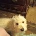 Patrick Knapp - Facebook