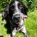 Patrick Knight - Facebook