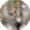 patrickknowles - @patrickknowles_ - TikTok