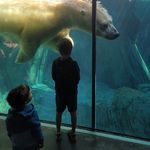 Patrick B. Knudsen - @patknudsen - Instagram