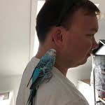 Patrick Koch - @patrick.koch.3557 - Instagram