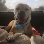 Patrick Koon - @koonpatrick - Instagram
