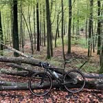 Patrick Köpke - @pkoepke2102 - Instagram