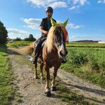 Patrick Kratochvil - @kratochvilpatrick - Instagram