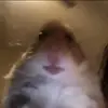 Patrick Kratochvíl - @figi_boyx_1_x - TikTok
