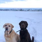 Patrick Kratochvil - @buddy25022012 - Instagram