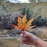 Patrick Krawczyk - @clefkalbo - Instagram