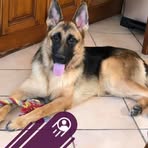Patrick Krawczyk - Facebook