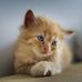 Patrick Krier - Facebook